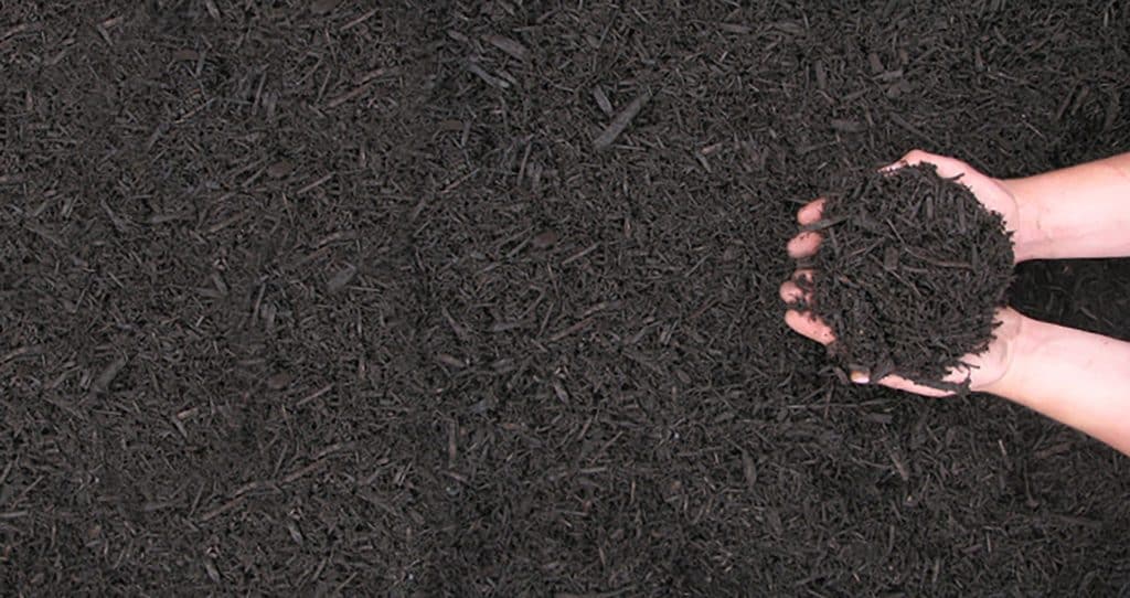 Chocolate Brown Mulch example